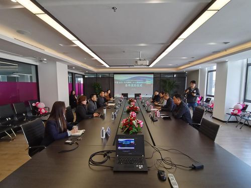 自贡华侨城第27届灯会票务合作再创佳绩，携手代理谱写共赢新篇章